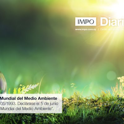 Medio Ambiente