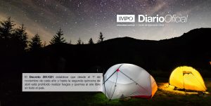 Carpas Con Luz Eléctrica Con Un Fondo De Cielo Estrellado