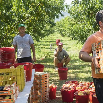 Economía Social Y Solidaria